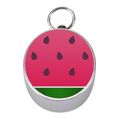 Watermelon Fruit Summer Red Fresh Food Healthy Mini Silver Compasses by Wegoenart