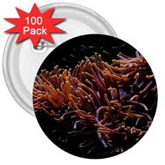 Sea Anemone Coral Underwater Ocean Sea Water 3  Buttons (100 Pack)  by Wegoenart