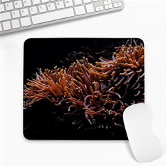 Sea Anemone Coral Underwater Ocean Sea Water Large Mousepad by Wegoenart