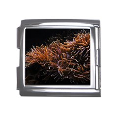 Sea Anemone Coral Underwater Ocean Sea Water Mega Link Italian Charm (18mm)