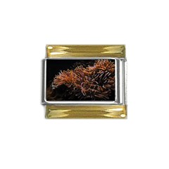 Sea Anemone Coral Underwater Ocean Sea Water Gold Trim Italian Charm (9mm)