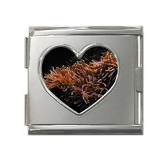 Sea Anemone Coral Underwater Ocean Sea Water Mega Link Heart Italian Charm (18mm) by Wegoenart