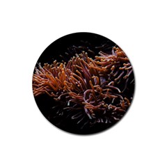 Sea Anemone Coral Underwater Ocean Sea Water Rubber Round Coaster (4 Pack) by Wegoenart