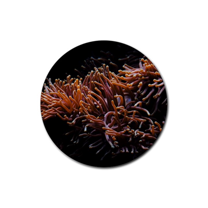 Sea Anemone Coral Underwater Ocean Sea Water Rubber Round Coaster (4 pack)