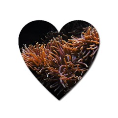 Sea Anemone Coral Underwater Ocean Sea Water Heart Magnet by Wegoenart