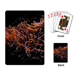 Sea Anemone Coral Underwater Ocean Sea Water Playing Cards Single Design (rectangle) by Wegoenart