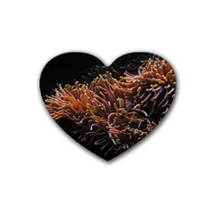 Sea Anemone Coral Underwater Ocean Sea Water Rubber Coaster (heart) by Wegoenart