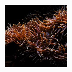 Sea Anemone Coral Underwater Ocean Sea Water Medium Glasses Cloth (2 Sides) by Wegoenart