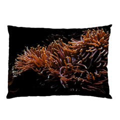 Sea Anemone Coral Underwater Ocean Sea Water Pillow Case by Wegoenart