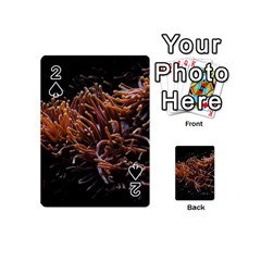 Sea Anemone Coral Underwater Ocean Sea Water Playing Cards 54 Designs (mini) by Wegoenart