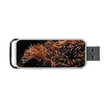 Sea Anemone Coral Underwater Ocean Sea Water Portable USB Flash (Two Sides) Front