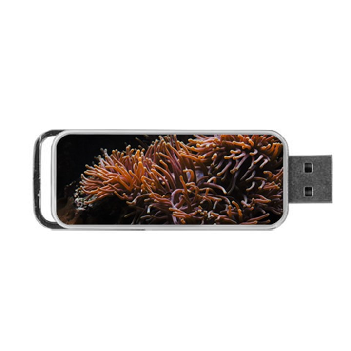 Sea Anemone Coral Underwater Ocean Sea Water Portable USB Flash (Two Sides)