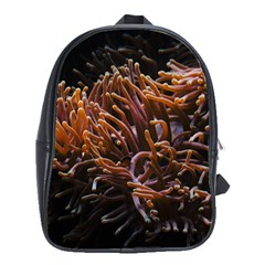 Sea Anemone Coral Underwater Ocean Sea Water School Bag (xl)