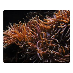 Sea Anemone Coral Underwater Ocean Sea Water Premium Plush Fleece Blanket (large)