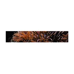 Sea Anemone Coral Underwater Ocean Sea Water Premium Plush Fleece Scarf (mini) by Wegoenart