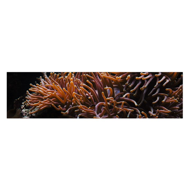 Sea Anemone Coral Underwater Ocean Sea Water Oblong Satin Scarf (16  x 60 )