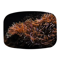 Sea Anemone Coral Underwater Ocean Sea Water Mini Square Pill Box by Wegoenart