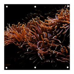 Sea Anemone Coral Underwater Ocean Sea Water Banner And Sign 3  X 3  by Wegoenart