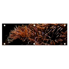 Sea Anemone Coral Underwater Ocean Sea Water Banner And Sign 6  X 2  by Wegoenart