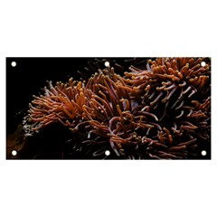 Sea Anemone Coral Underwater Ocean Sea Water Banner And Sign 6  X 3  by Wegoenart