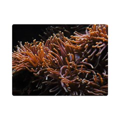 Sea Anemone Coral Underwater Ocean Sea Water One Side Premium Plush Fleece Blanket (mini)