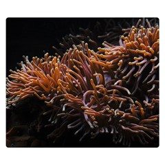 Sea Anemone Coral Underwater Ocean Sea Water One Side Premium Plush Fleece Blanket (small)