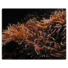 Sea Anemone Coral Underwater Ocean Sea Water One Side Premium Plush Fleece Blanket (medium)