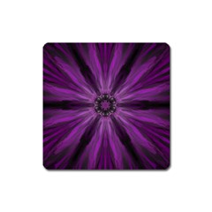 Pattern Purple Symmetry Dark Square Magnet