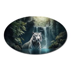 Tiger White Tiger Nature Forest Oval Magnet