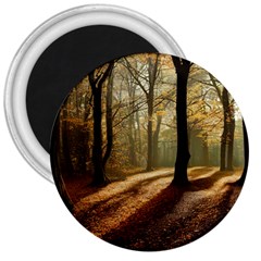 Autumn Nature Woodland Woods Trees 3  Magnets