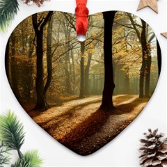 Autumn Nature Woodland Woods Trees Ornament (Heart)