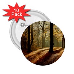 Autumn Nature Woodland Woods Trees 2 25  Buttons (10 Pack)  by Jancukart