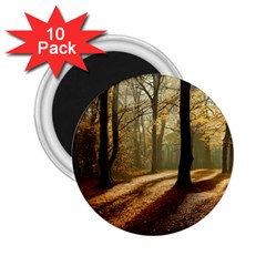 Autumn Nature Woodland Woods Trees 2.25  Magnets (10 pack) 