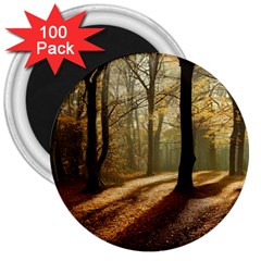 Autumn Nature Woodland Woods Trees 3  Magnets (100 pack)