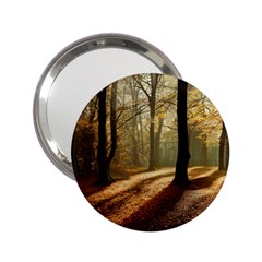 Autumn Nature Woodland Woods Trees 2 25  Handbag Mirrors by Jancukart