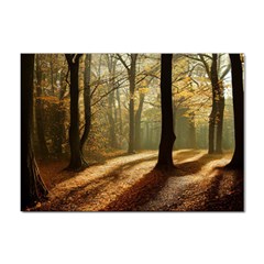 Autumn Nature Woodland Woods Trees Sticker A4 (100 Pack)