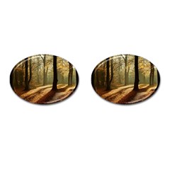 Autumn Nature Woodland Woods Trees Cufflinks (Oval)