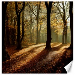 Autumn Nature Woodland Woods Trees Canvas 20  x 20 