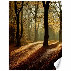 Autumn Nature Woodland Woods Trees Canvas 18  x 24 