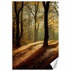 Autumn Nature Woodland Woods Trees Canvas 20  x 30 