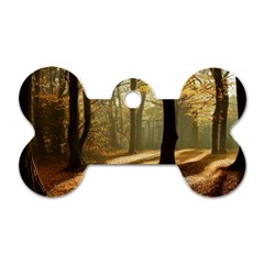 Autumn Nature Woodland Woods Trees Dog Tag Bone (two Sides) by Jancukart