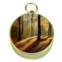 Autumn Nature Woodland Woods Trees Gold Compasses by Jancukart