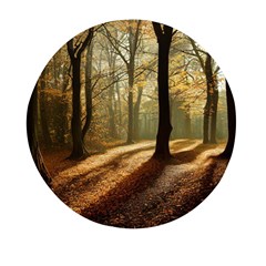 Autumn Nature Woodland Woods Trees Mini Round Pill Box