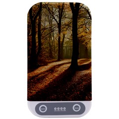 Autumn Nature Woodland Woods Trees Sterilizers