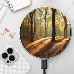 Autumn Nature Woodland Woods Trees Wireless Fast Charger(white) by Jancukart