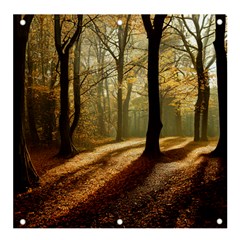 Autumn Nature Woodland Woods Trees Banner and Sign 4  x 4 