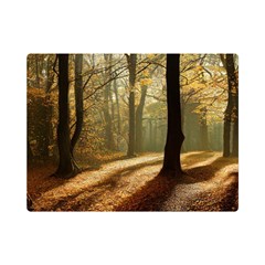 Autumn Nature Woodland Woods Trees One Side Premium Plush Fleece Blanket (mini) by Jancukart