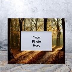 Autumn Nature Woodland Woods Trees White Tabletop Photo Frame 4 x6  by Jancukart