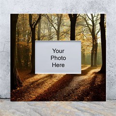 Autumn Nature Woodland Woods Trees White Wall Photo Frame 5  X 7  by Jancukart