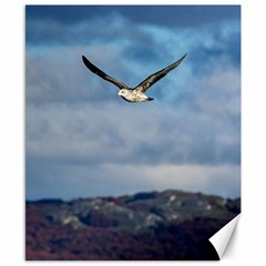 Sea Bird Flying Over Cloudy Sky Canvas 8  X 10  by dflcprintsclothing